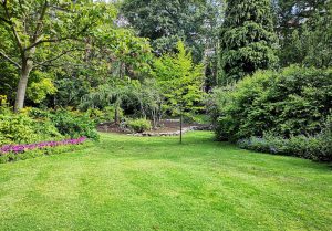 Optimiser l'expérience du jardin à Romange